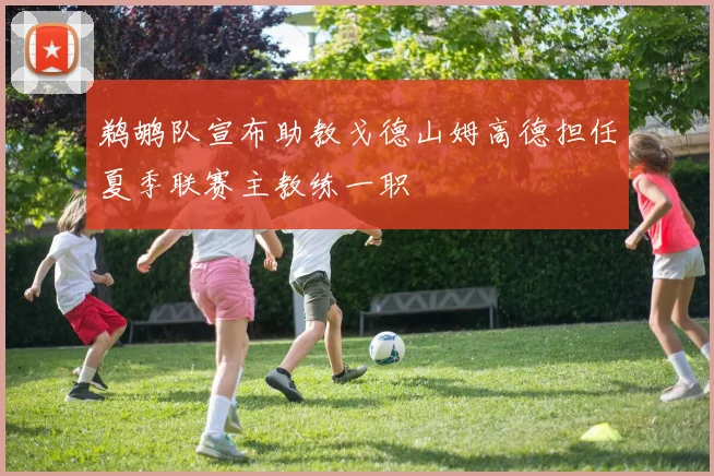 鹈鹕队宣布助教戈德山姆高德担任夏季联赛主教练一职